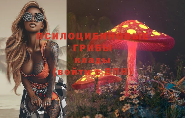 ALPHA-PVP Заводоуковск